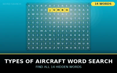 Types of Aircraft Word Search Word Search Puzzle