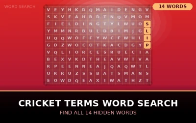 Cricket Terms Word Search Word Search Puzzle