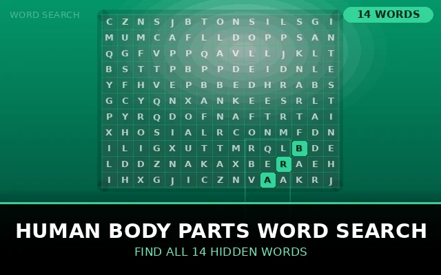 Human Body Parts Word Search Grid