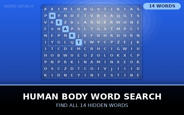Human Body Word Search Grid