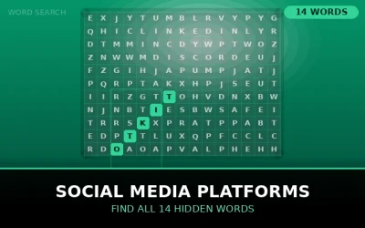 Social Media Platforms Word Search Puzzle