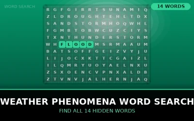 Weather Phenomena Word Search Word Search Puzzle